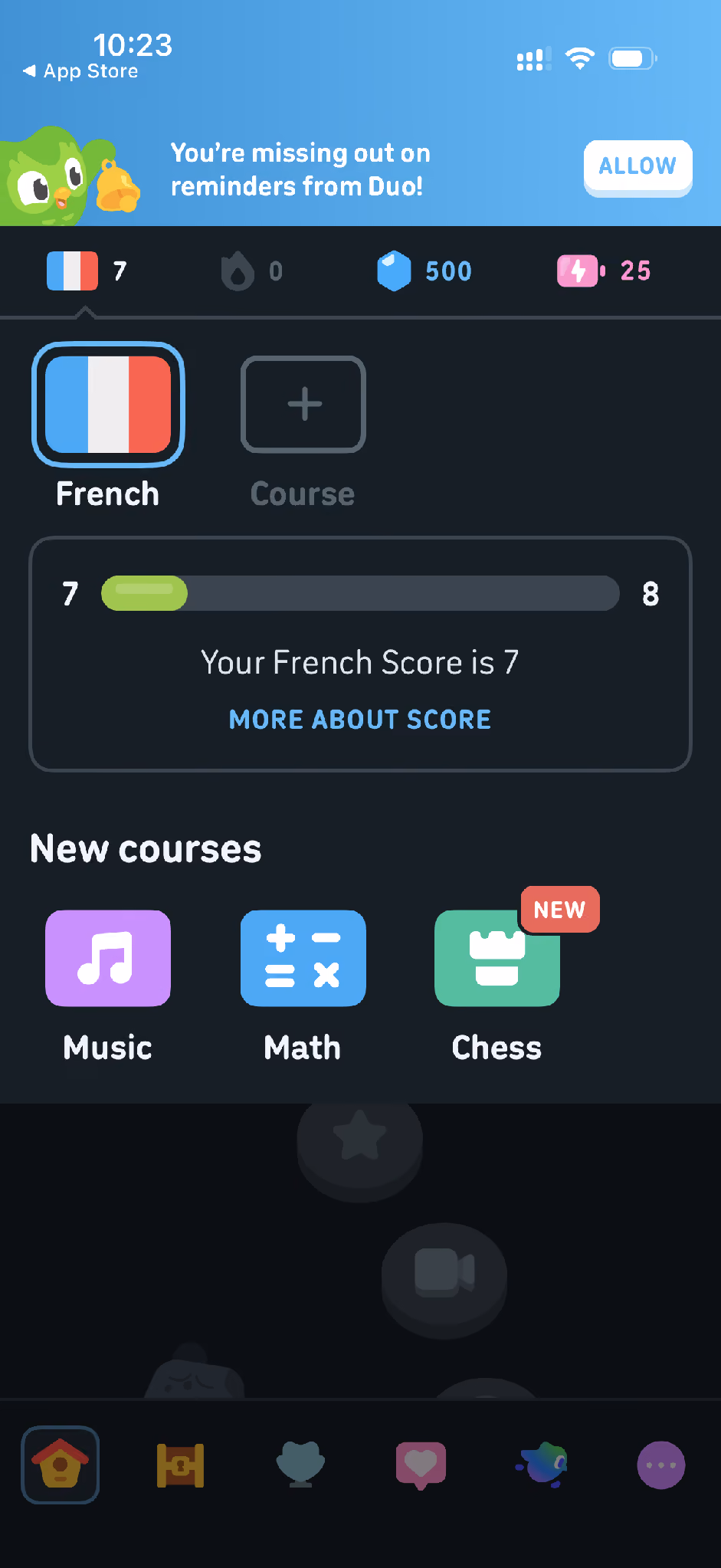 duolingo features