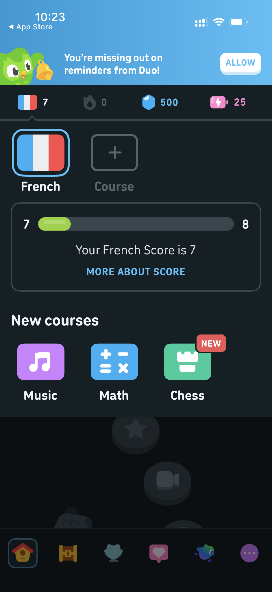 duolingo features
