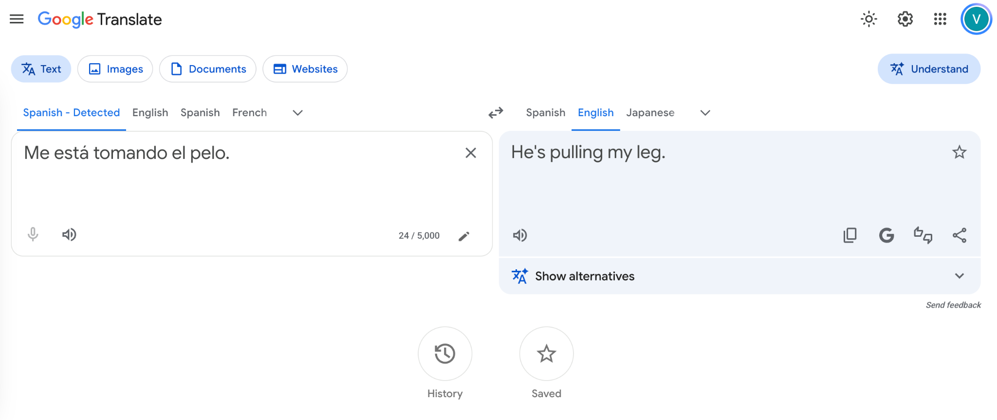 google translate idiom translation