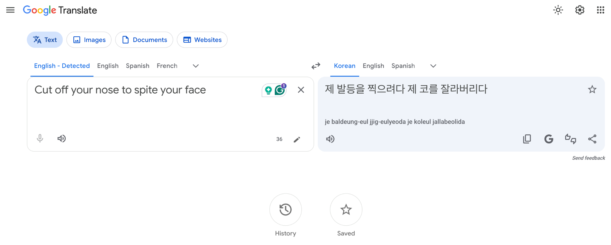 google translate text translation