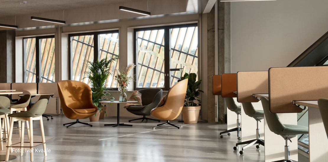 Loungeområde på Evolve sine fleksible kontor