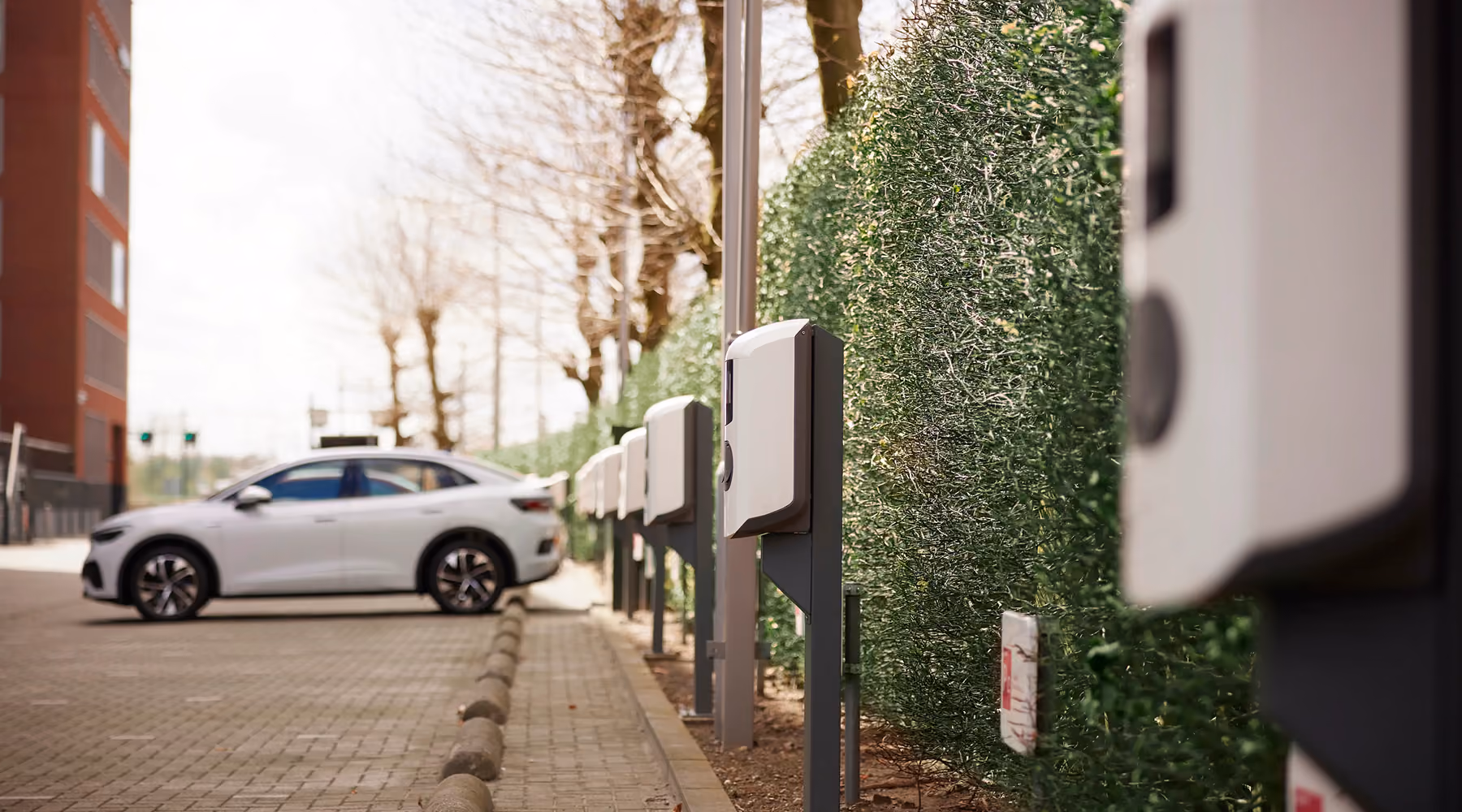 Rij witte laadpalen langs een groene haag op een bedrijfsparkeerterrein, met op de achtergrond een wit geparkeerde elektrische auto.