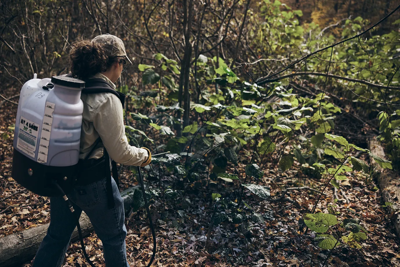 Person wearing a cap and backpack sprayer walking through a forest spraying plants on the ground.