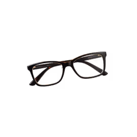 spectacles icon
