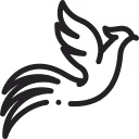 pheonix