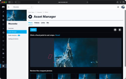 Graphic of Muzooka's asset manager