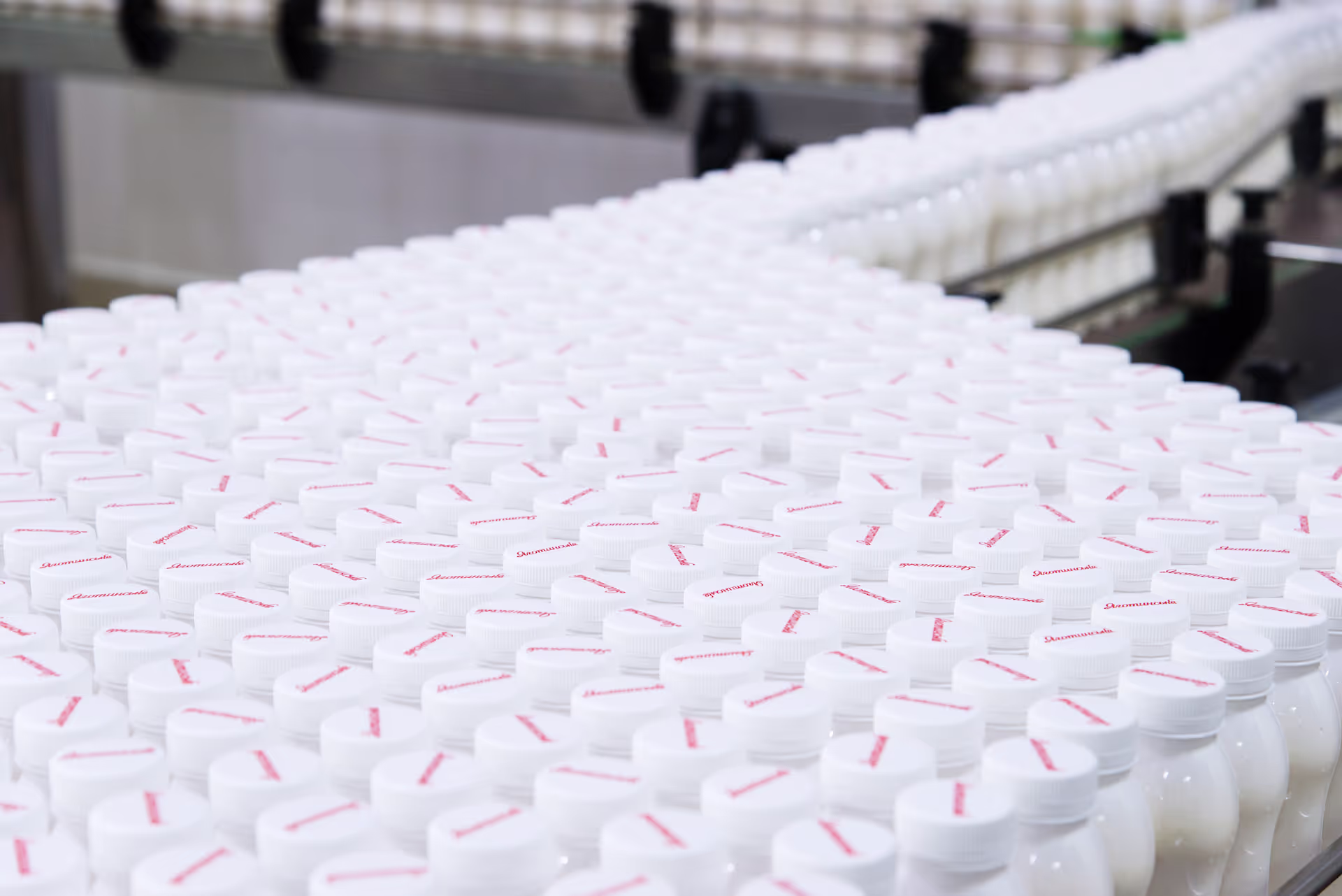 A dairy production line with hundreds of white plastic bottles with sealed caps moving along a conveyor belt in a factory. The bottles are uniformly arranged and appear to be filled with a dairy product such as milk or yogurt.