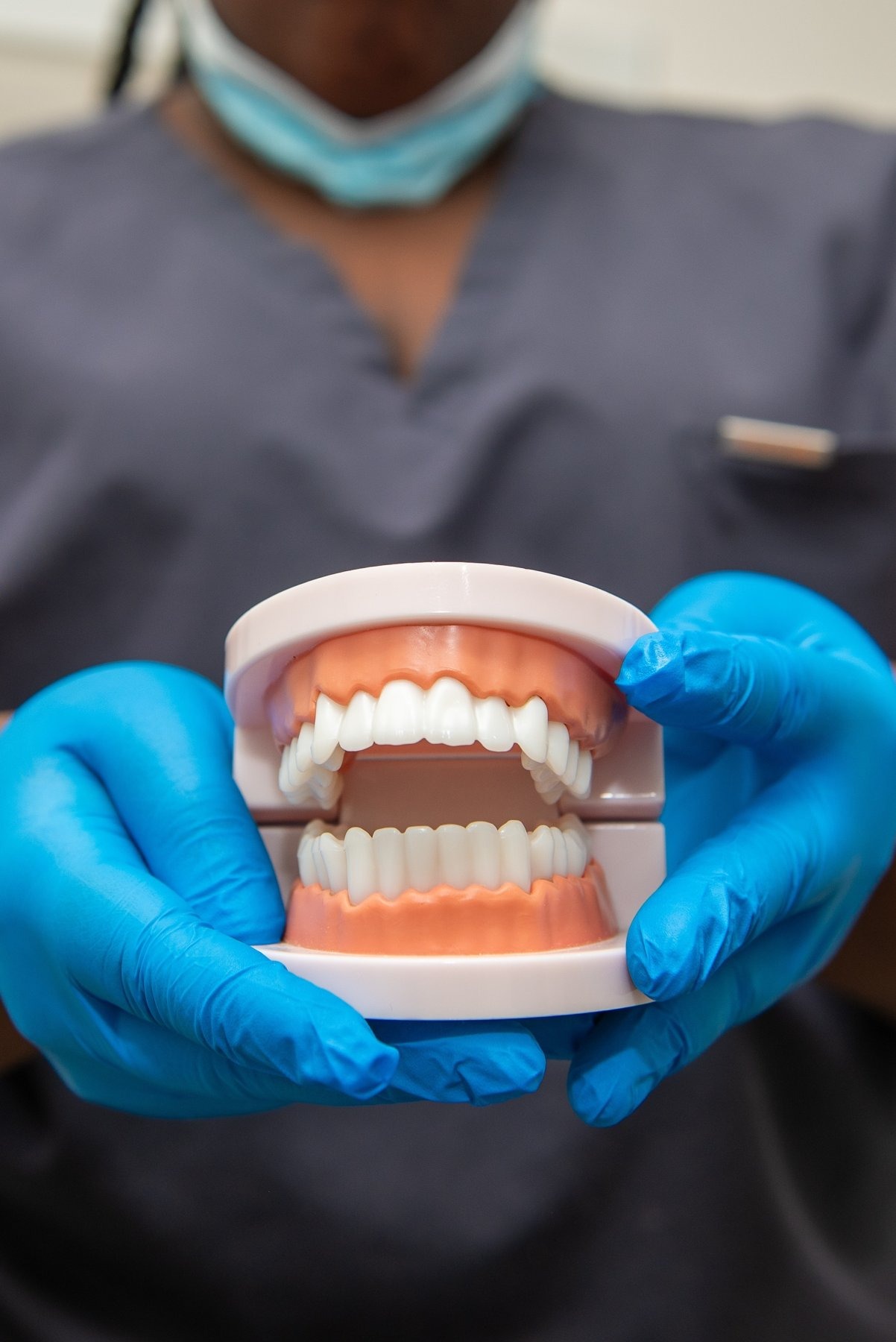 A Feel Good Dental team member holding a model of a set of teeth