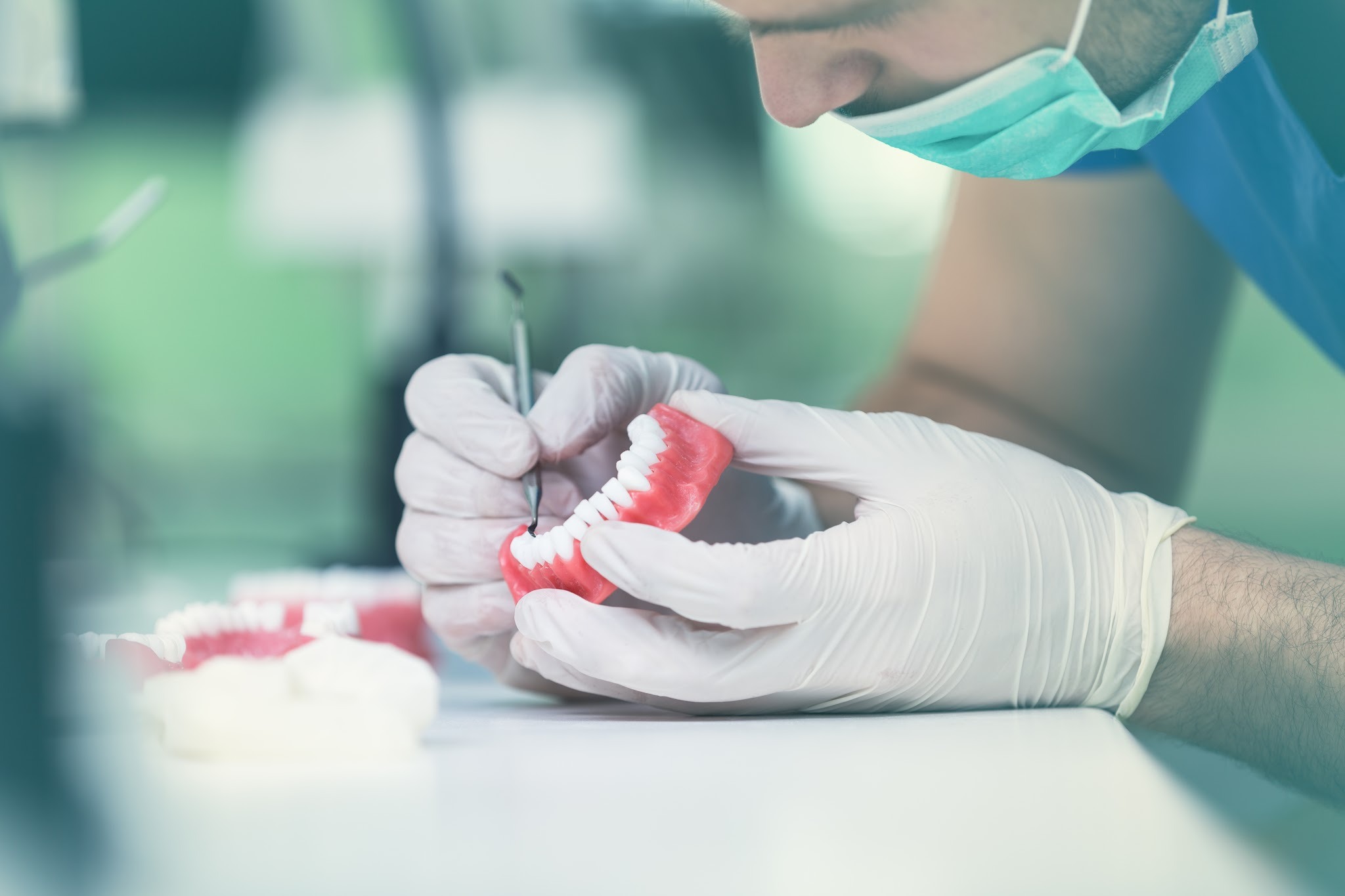 Dentist working on a dental implant model demonstrating tooth replacement and jawbone support