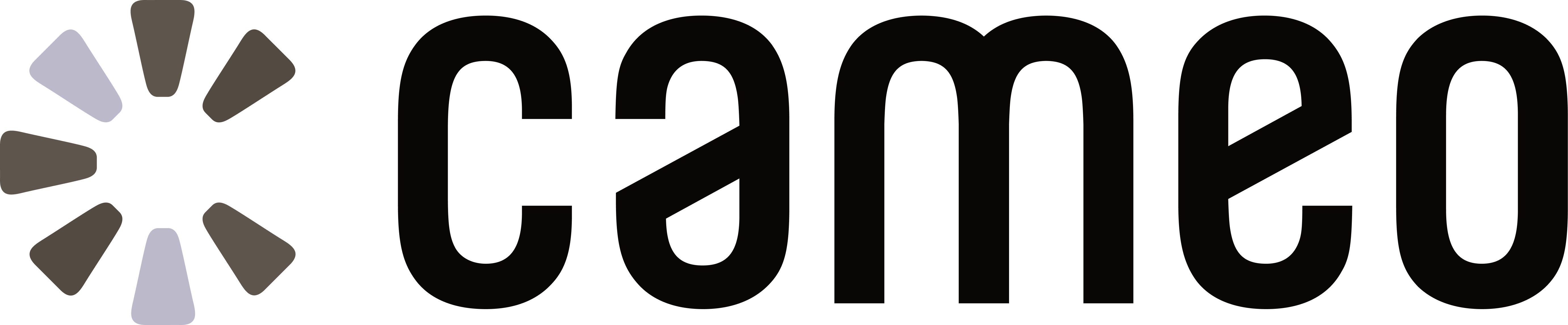 Cameo logo with stylized circular burst icon to the left of the word 'cameo' in bold black letters.