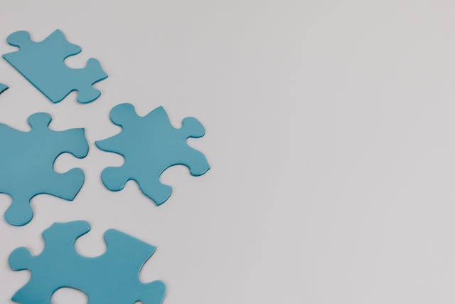 Autism Care Pathway in Europe