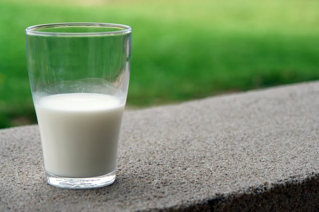 Camel Milk For Autism: A Potential Treatment
