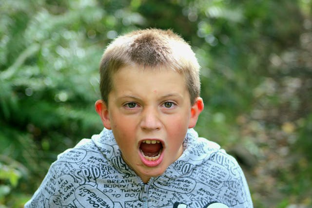 Challenging Behaviors and Autism