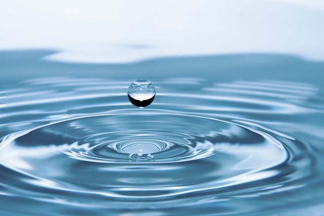 Fluoride and Autism: Is There a Connection?