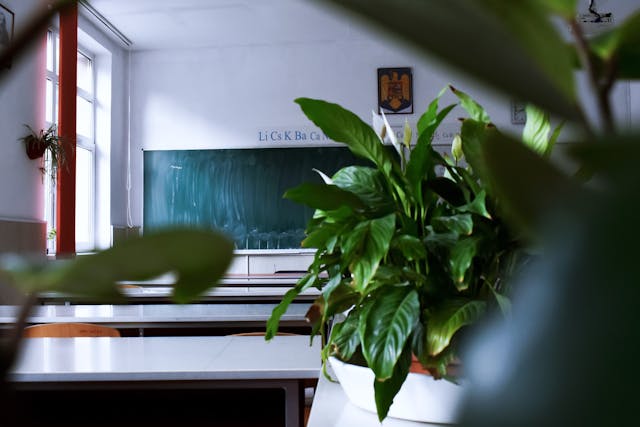 Secondary School Experiences of Students with Autism