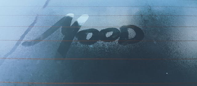 Mood Disorders in High-Functioning Autism