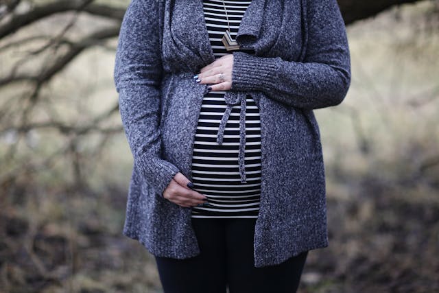 Maternal Obesity and Autism: Understand the Link