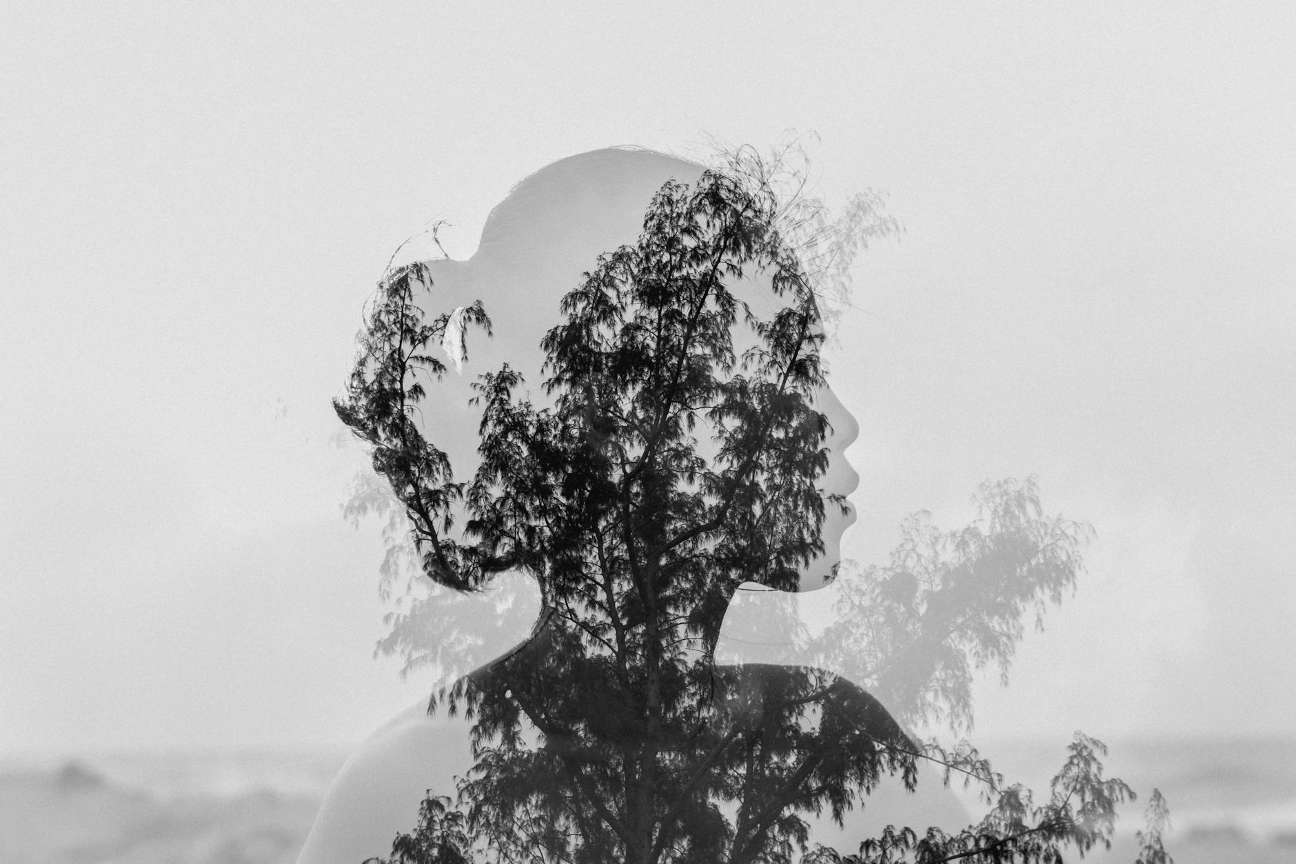 Rejection Sensitive Dysphoria and Autism: Is There a Link?
