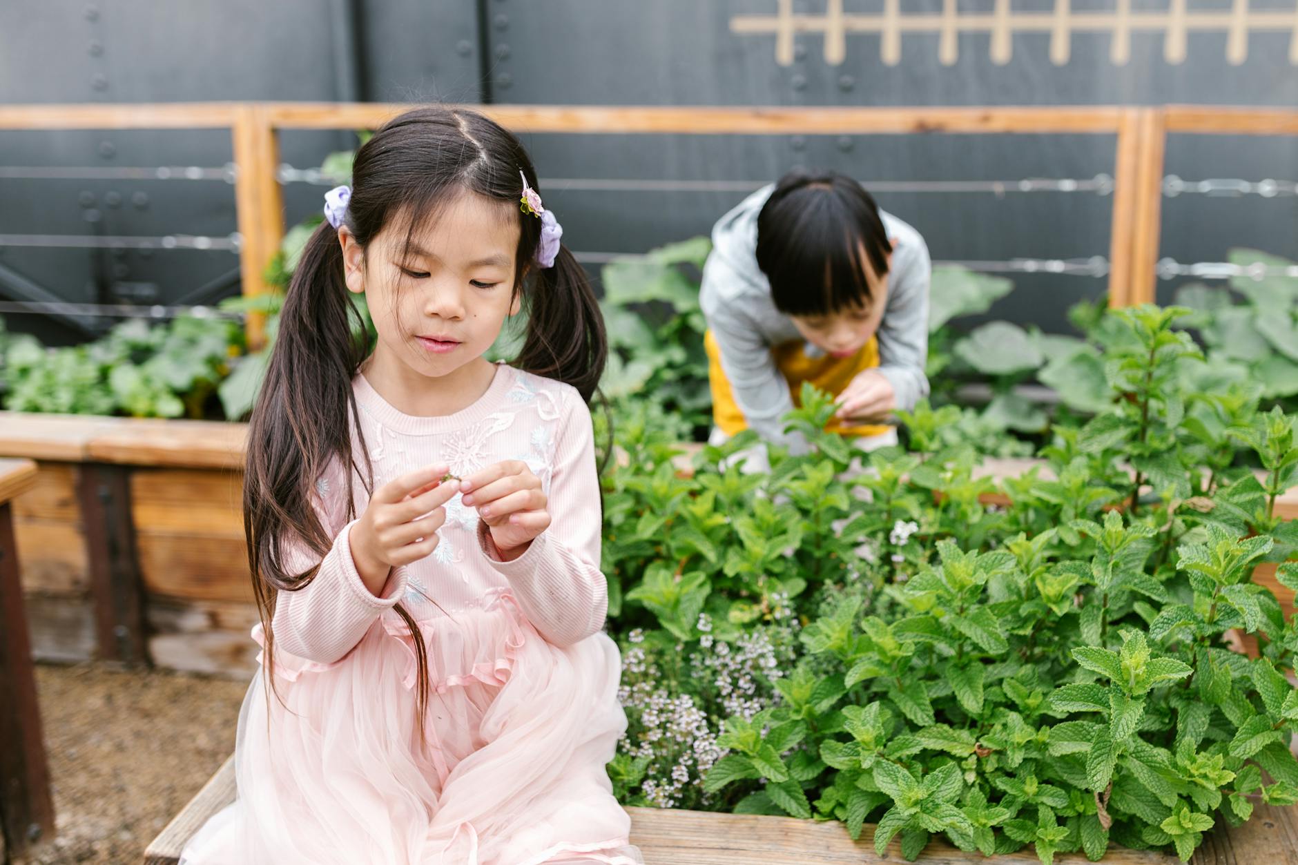 Occurrence and Family Impact of Elopement in Children with Autism