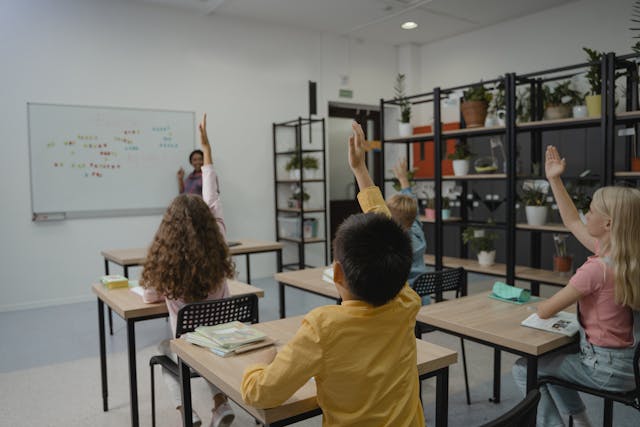 The impact of Autism in Learning and Development