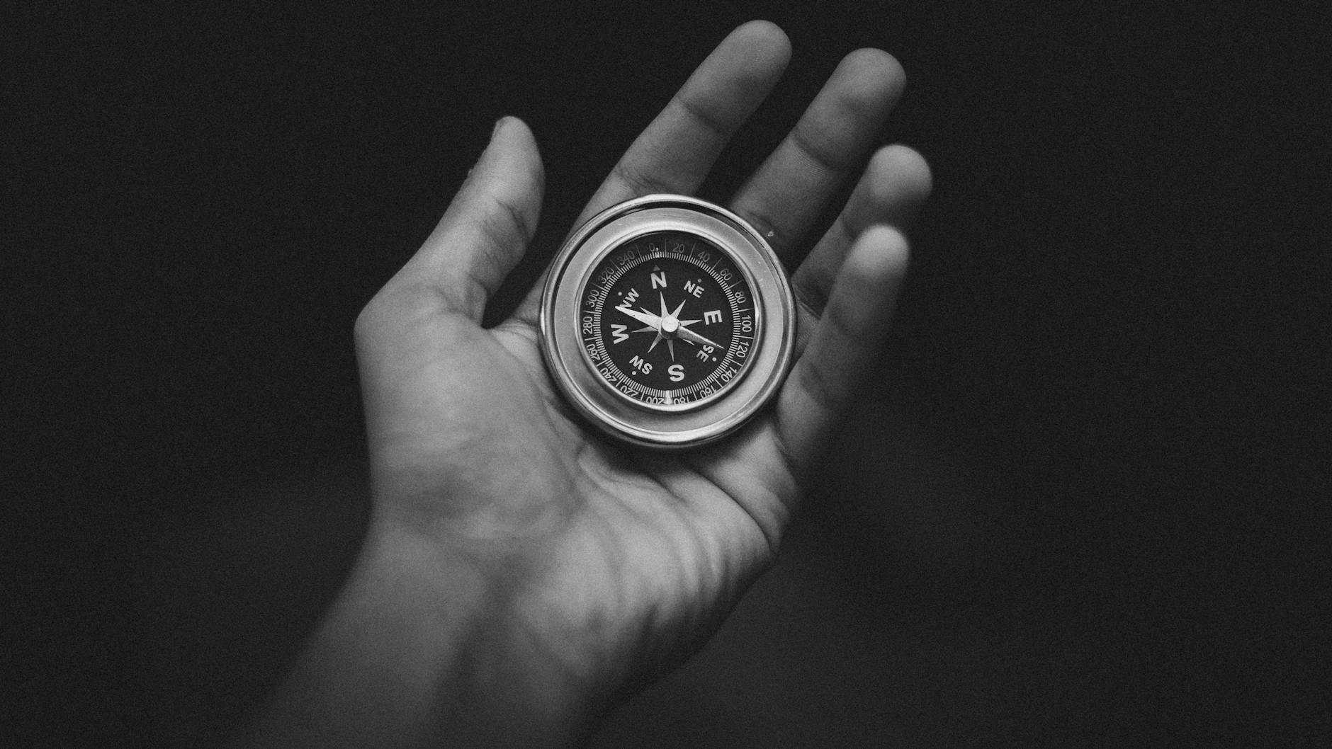 The Quest to Recover from Autism