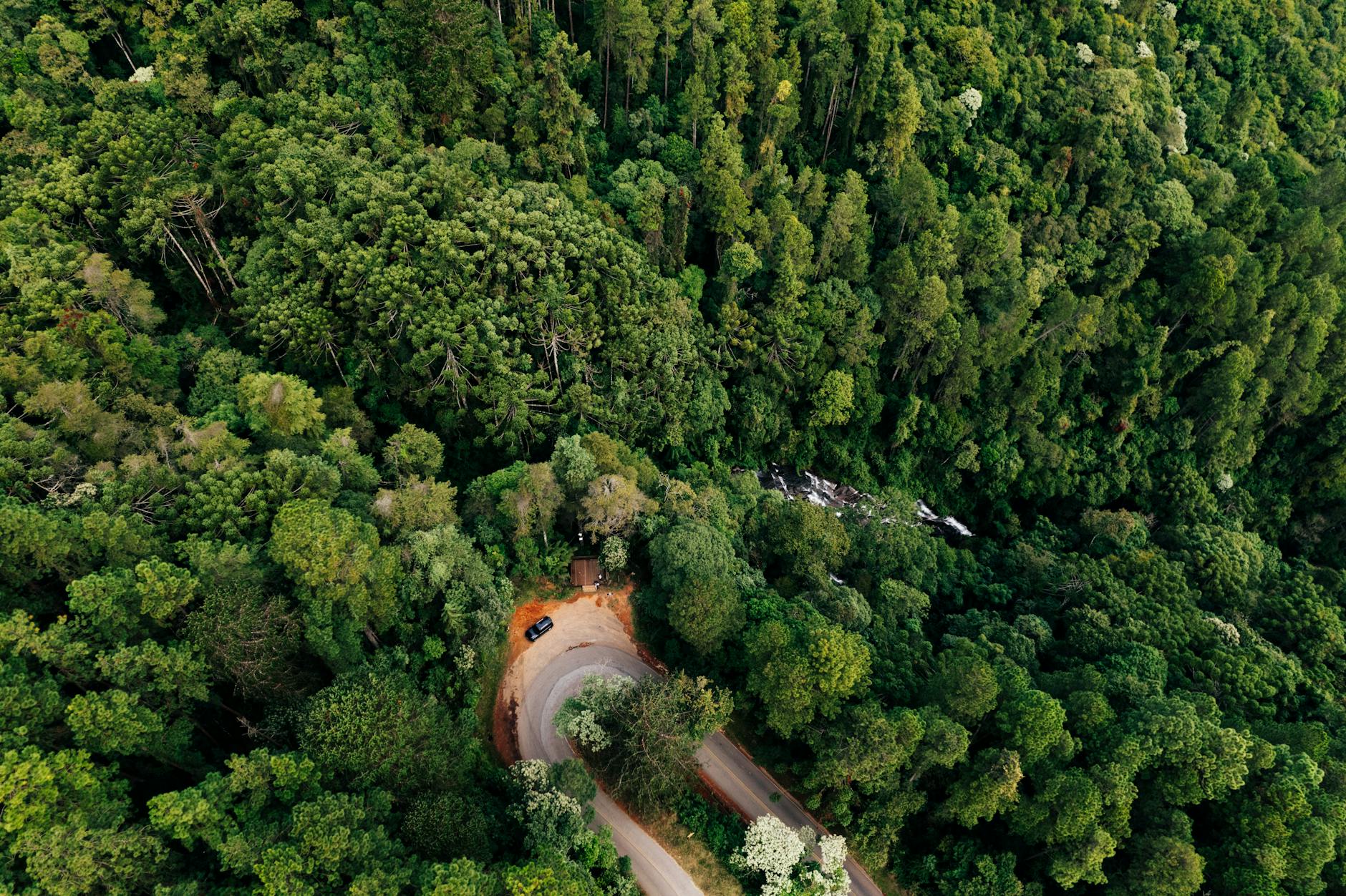 What Is The Treetop ABA Therapy?
