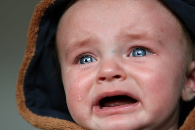 Understanding Autism Shutdown