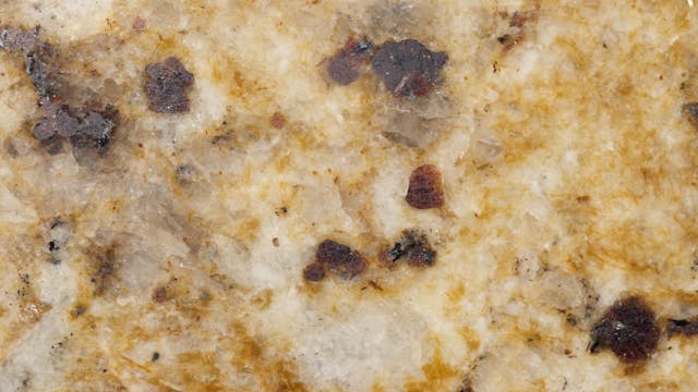 Does Mold Cause Autism?