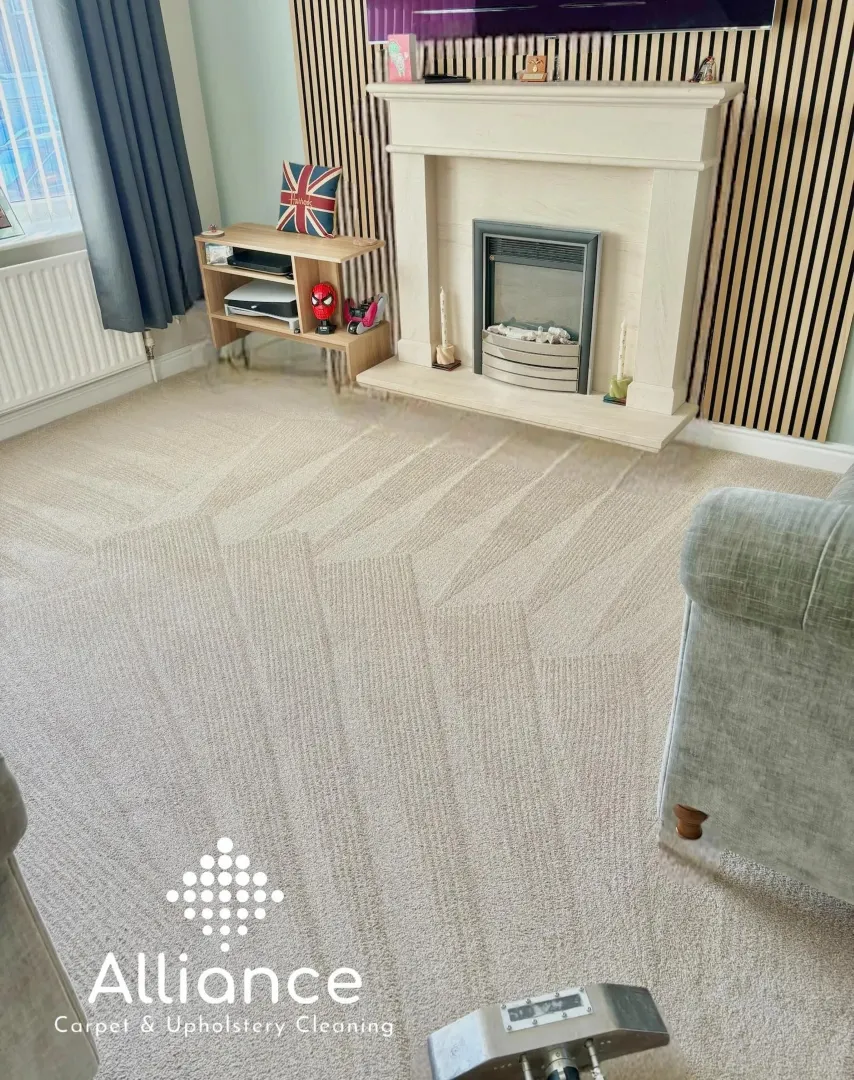 Professional Carpet Cleaning