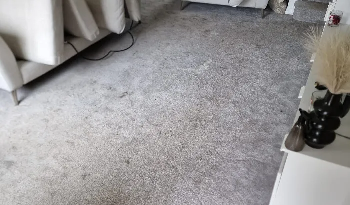 Before Professional Carpet Cleaning