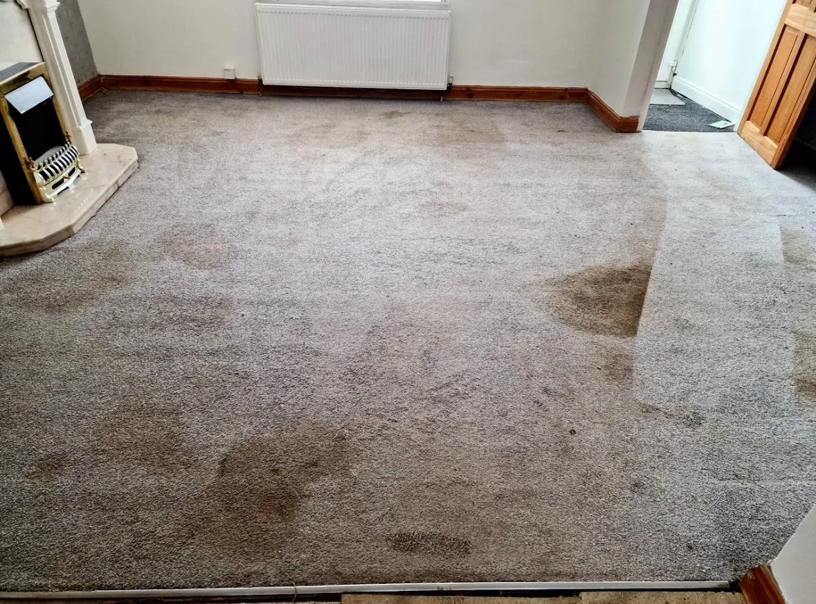 Before Professional Carpet Cleaning