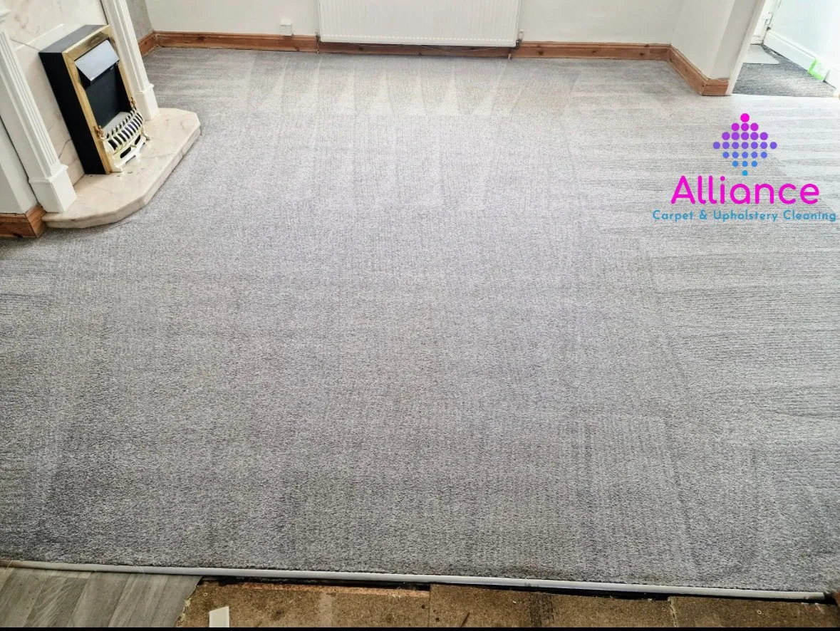 After Professional Carpet Cleaning