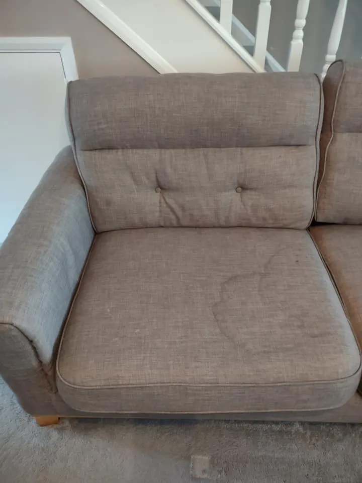Before Upholstery Cleaning Services