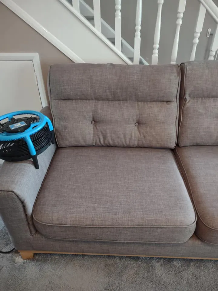 After Upholstery Cleaning Services
