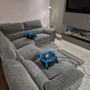 Carpet Cleaning in Sunderland by Local