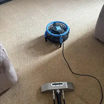 Carpet Cleaning in Sunderland by Local 