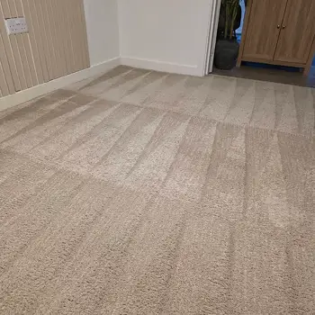 Carpet Cleaning in Sunderland by Local