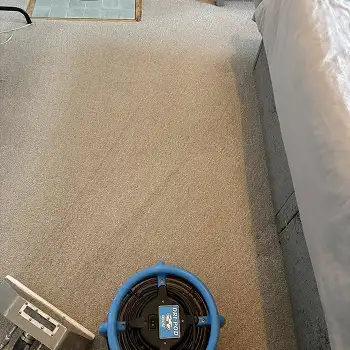 Carpet Cleaning in Sunderland by Local 