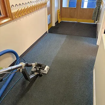 Carpet Cleaning in Sunderland by Local 