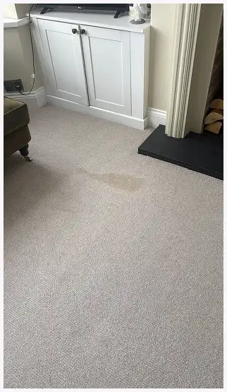Light beige carpet with a visible stain in front of a white cabinet and next to a fireplace.