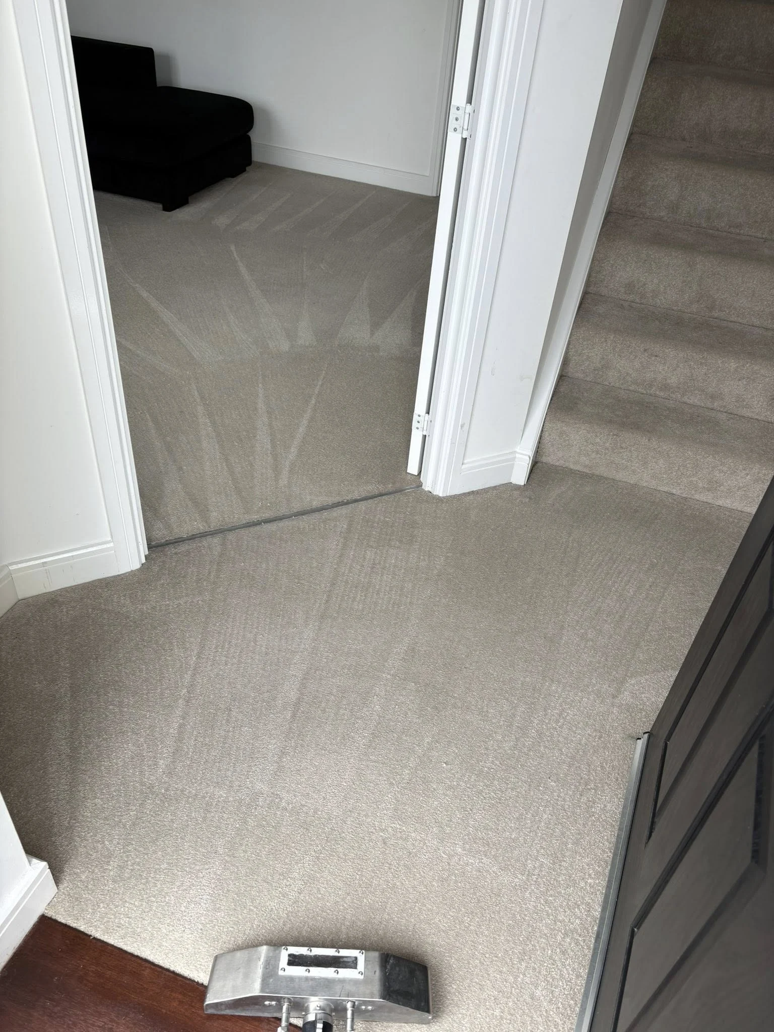 Freshly cleaned beige carpet with vacuum cleaner head in a white hallway with stairs and a black chair.