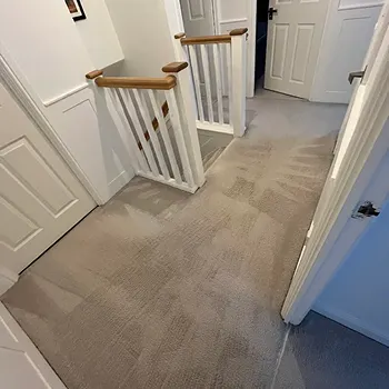 Carpet Cleaning in Sunderland by Local 