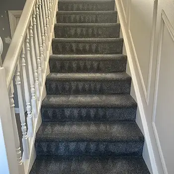 Carpet Cleaning in Sunderland by Local