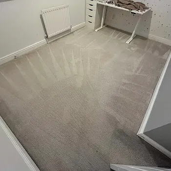 Carpet Cleaning in Sunderland by Local 