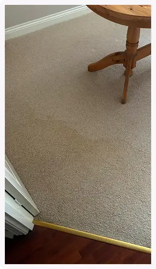 Beige carpet transitioning to dark wood floor with a wooden table leg visible on the carpet.