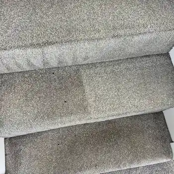 Carpet Cleaning in Sunderland by Local 