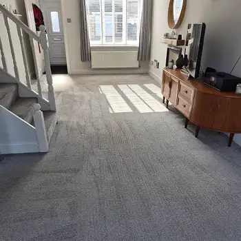 Carpet Cleaning in Sunderland by Local 