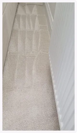 Close-up of a beige carpet with visible vacuum cleaner lines next to a white radiator.