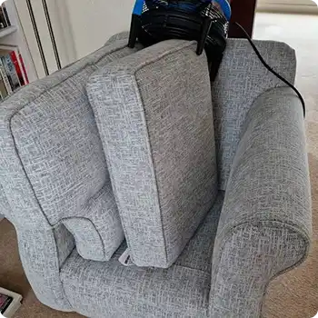 Carpet Cleaning in Sunderland by Local 