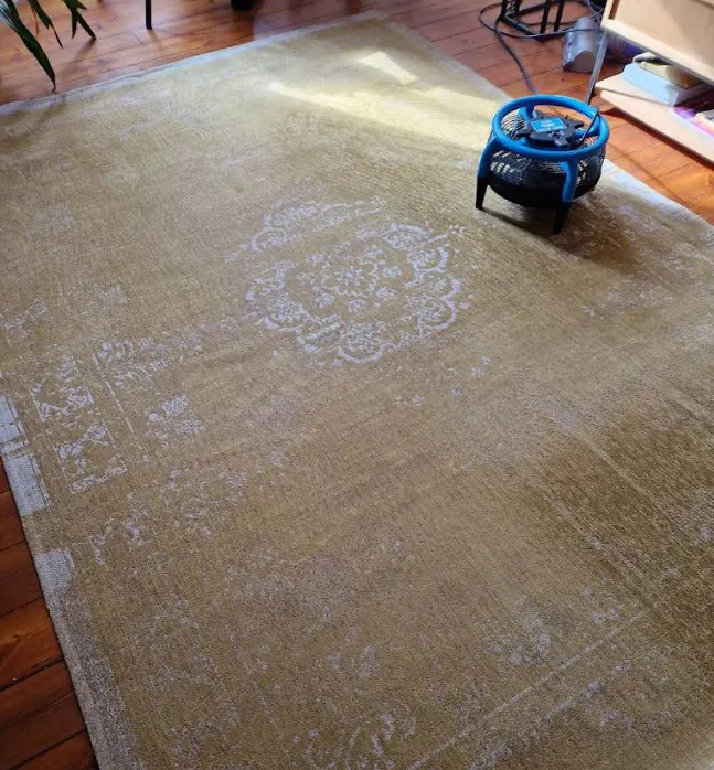 Carpet Cleaning in Sunderland by Local 